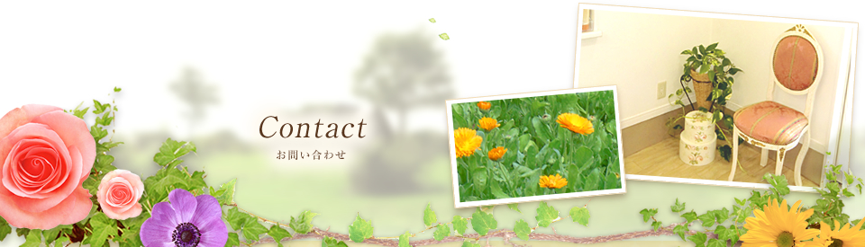 Contact ₢킹