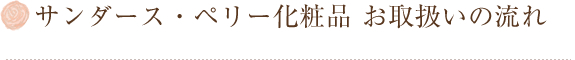 T_[XEy[ϕi 戵̗