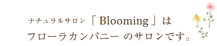 i`TuBloomv̓t[Jpj[̃TłB